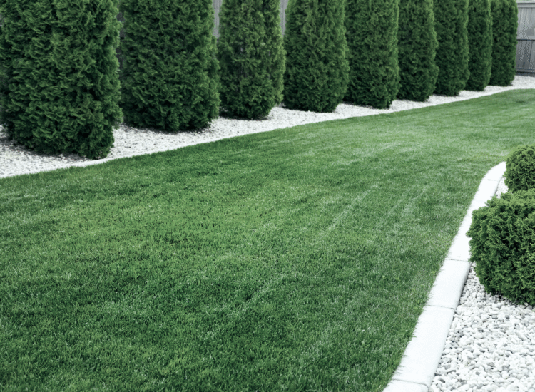 Lawn_and_Landscaping_Excellence_445