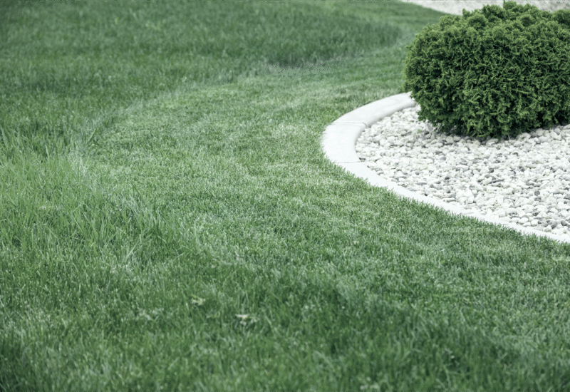 Lawn Care Lawn Care