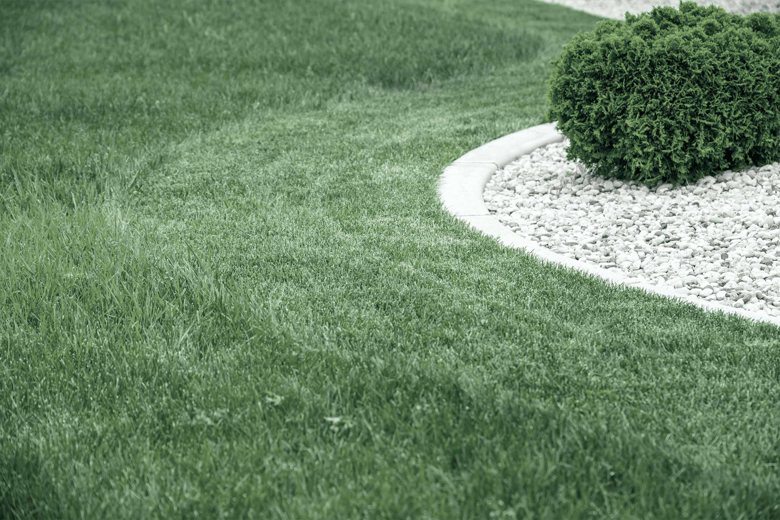 Lawn & Landscape Excellence