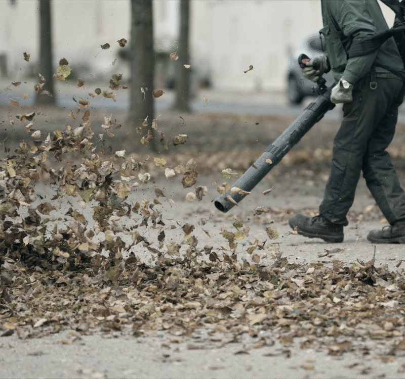 Landscaping