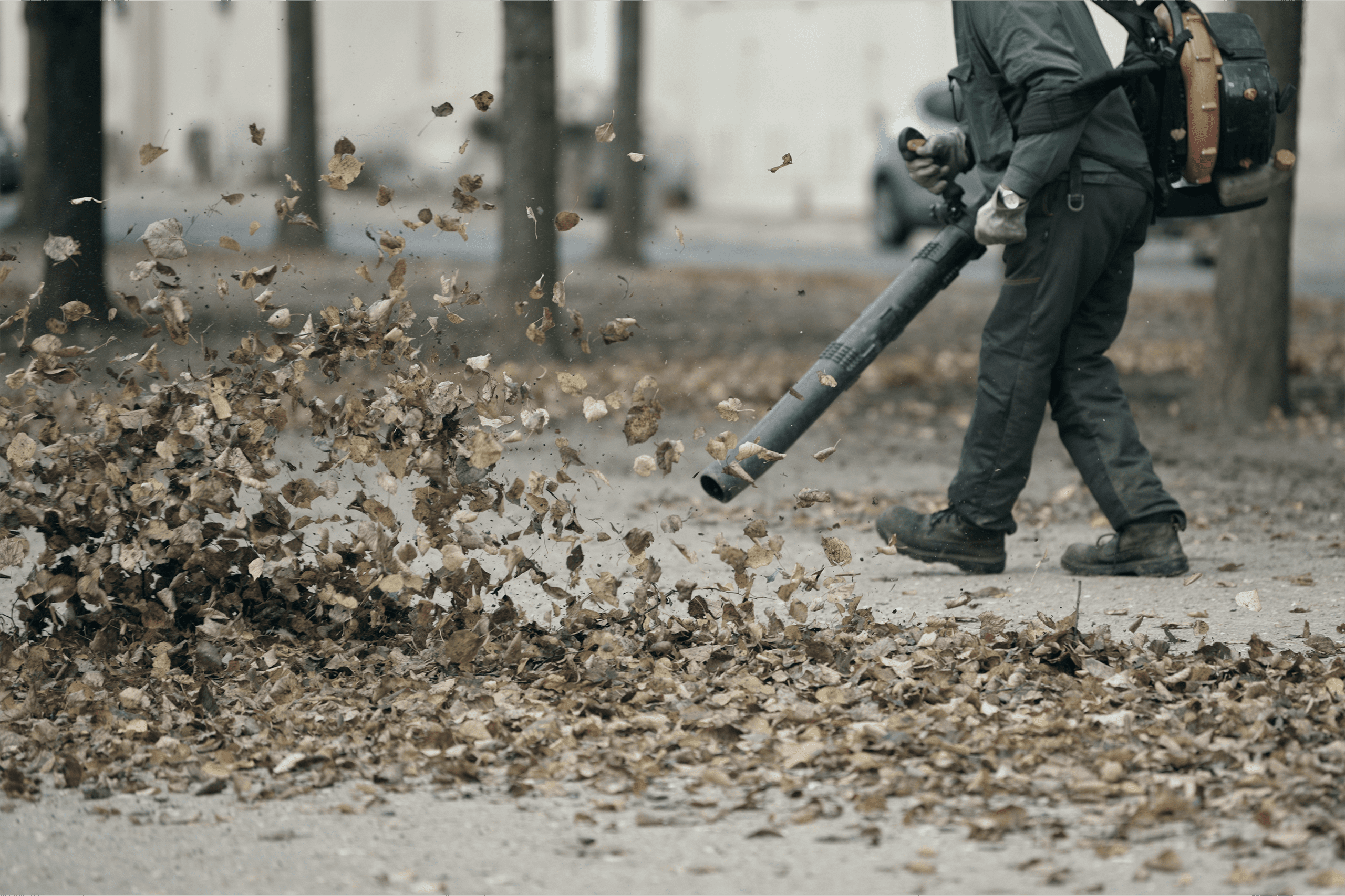 Why Fall Cleanup Is Essential for Property Value