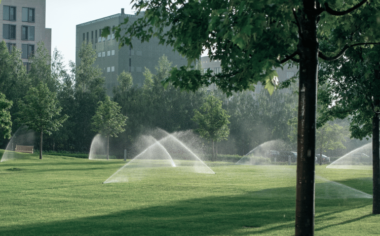 Mapleshore crew mowing and maintaining lawns in the GTA
