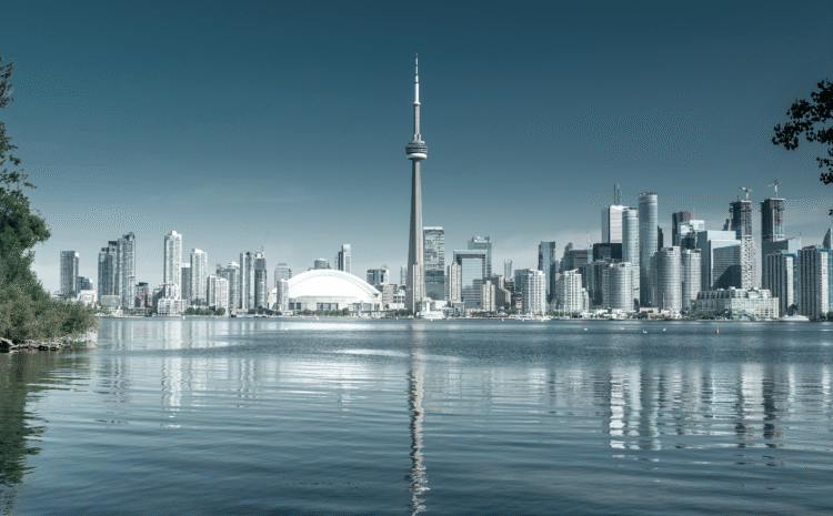 Mapleshore team providing full-service property maintenance across the GTA